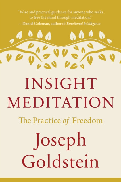 Book cover of: Insight Meditation. By: Joseph Goldstein