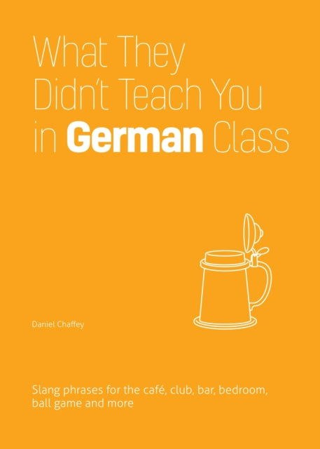 Book cover of: What They Didn't Teach You in German Class. By: Daniel Chaffey