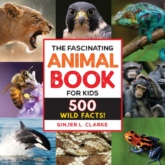 Book cover of: Fascinating Animal Book for Kids. By: Ginjer Clarke