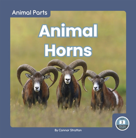 Book cover of: Animal Horns. By: Connor Stratton