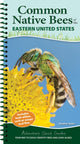 Book cover of: Common Backyard Bees of the Eastern United States. By: Heather Holm