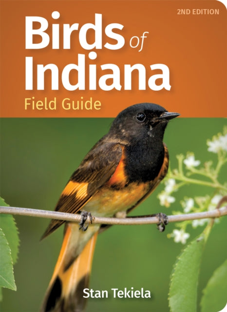 Book cover of: Birds of Indiana Field Guide. By: Stan Tekiela