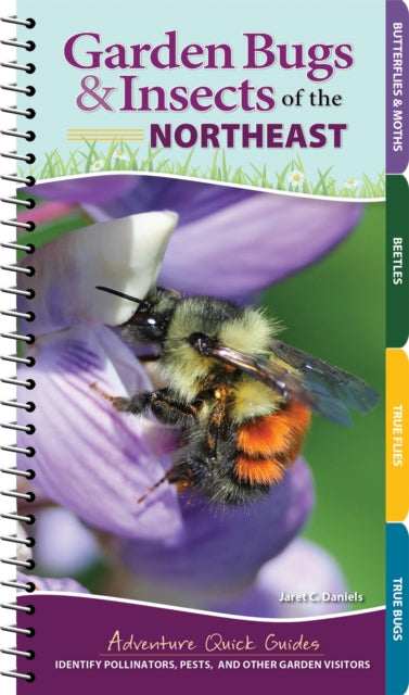 Book cover of: Garden Bugs & Insects of the Northeast. By: Jaret C. Daniels