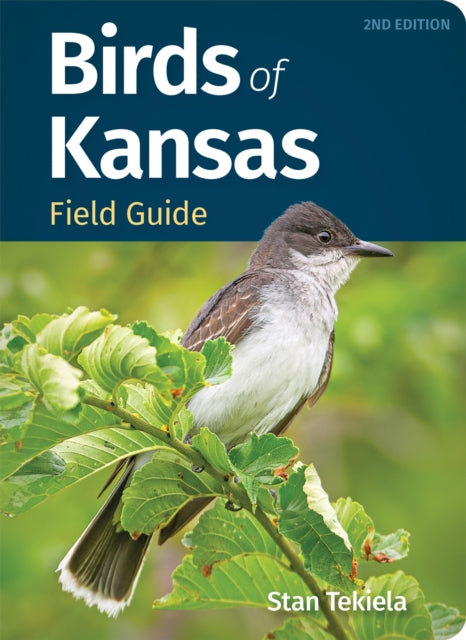 Book cover of: Birds of Kansas Field Guide. By: Stan Tekiela
