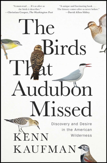 Book cover of: Birds That Audubon Missed