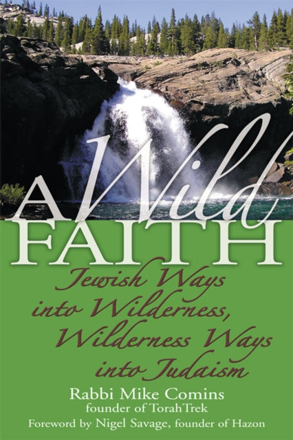 Book cover of: Wild Faith. By: Mike Comins