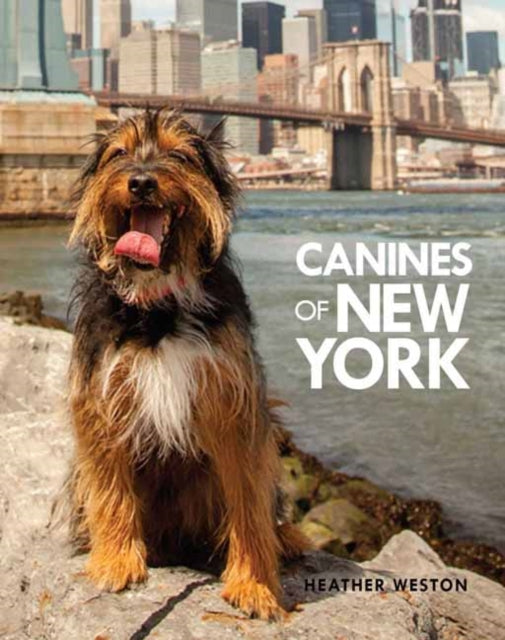 Book cover of: Canines of New York. By: Heather Weston