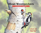 Book cover of: About Woodpeckers. By: Cathryn P. Sill