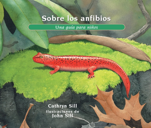 Book cover of: Sobre los anfibios/ About Amphibians. By: Cathryn P. Sill