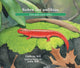 Book cover of: Sobre los anfibios/ About Amphibians. By: Cathryn P. Sill