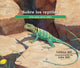 Book cover of: Sobre los reptiles/ About Reptiles. By: Cathryn P. Sill