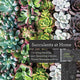 Book cover of: Succulents at Home. By: John Tullock