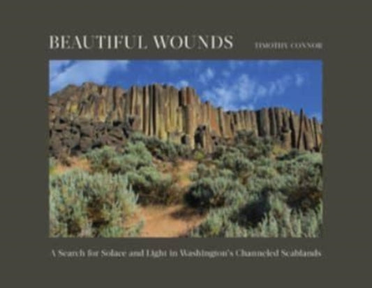 Book cover of: Beautiful Wounds. By: Timothy Connor