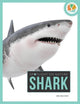 Spotlight on Nature: Shark 9781682770351 Gah
