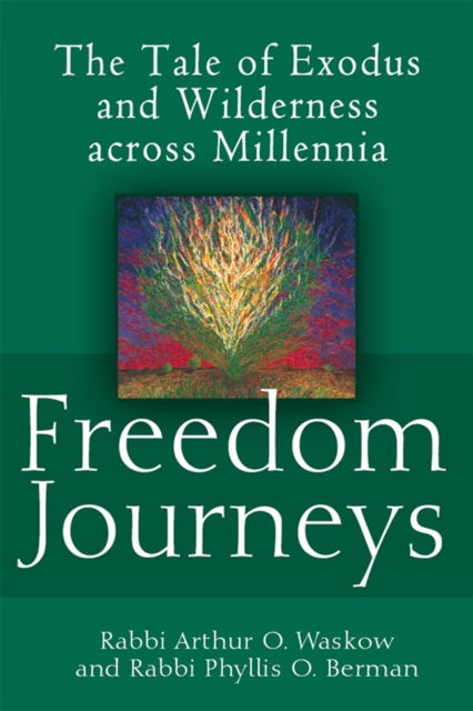 Book cover of: Freedom Journeys. By: Arthur Ocean Waskow