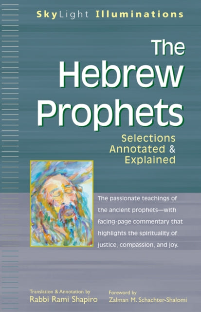 Book cover of: Hebrew Prophets. By: Rami M. Shapiro