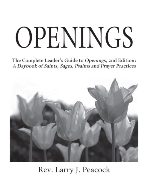 Book cover of: Openings Leader Guide 2/E. By: Larry J. Peacock