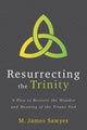 Book cover of: Plea to Recover the Wonder and Meaning of the Tr iune God. By: M. James Sawyer
