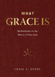 Book cover of: Meditations on the Mercy of Our God. By: Craig A. Evans