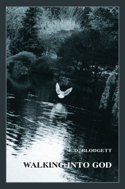 Book cover of: Walking into God