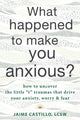 Book cover of: What Happened to Make You Anxious?. By: Jaime Castillo