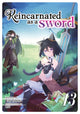 Book cover of: Reincarnated as a Sword (Light Novel) Vol. 13. By: Yuu Tanaka