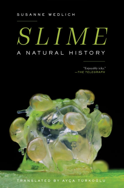 Book cover of: Slime. By: Susanne Wedlich