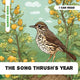 Song Thrush's Year