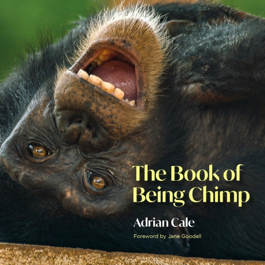 Book cover of: Book of Being Chimp