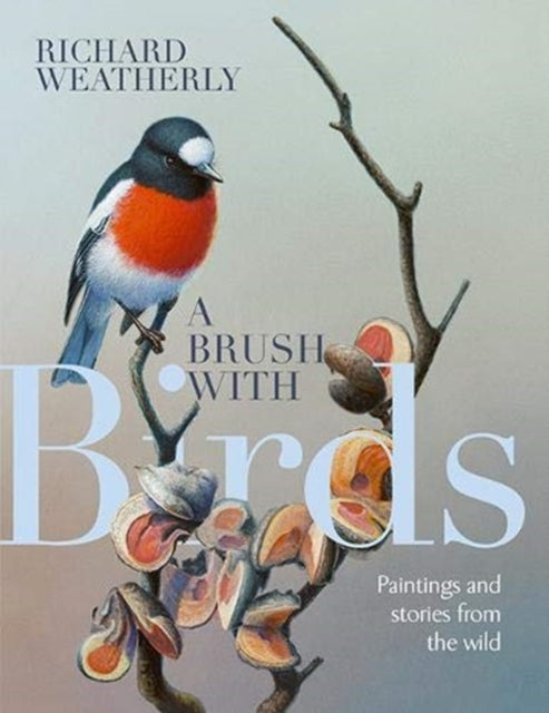 Book cover of: Brush with Birds. By: Richard Weatherly