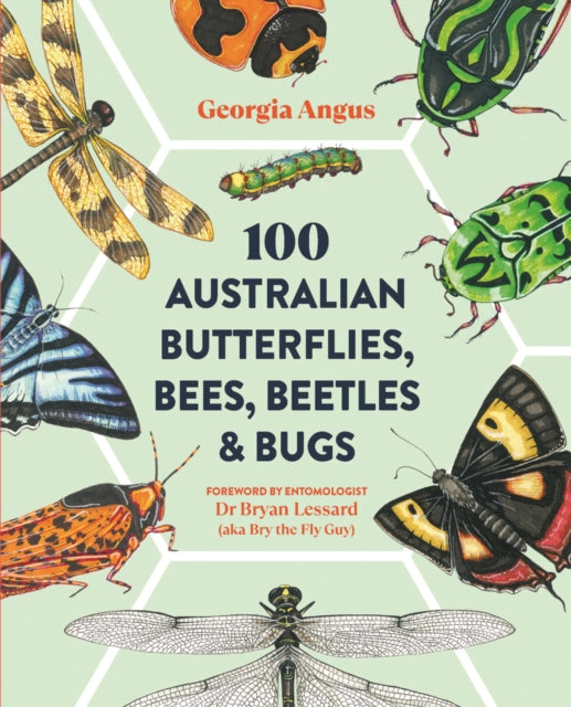 Book cover of: 100 Australian Butterflies, Bees, Beetles & Bugs. By: Georgia Angus