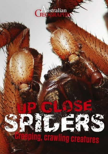 Book cover of: Australian Geographic Up Close: Spiders. By: Kathy Riley