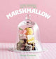 Book cover of: Artisan Marshmallow. By: Paige Couture