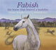 Book cover of: Fabish. By: Neridah McMullin