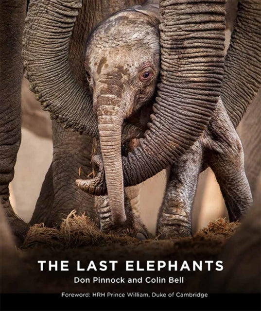 Book cover of: Last Elephants. By: Colin Bell