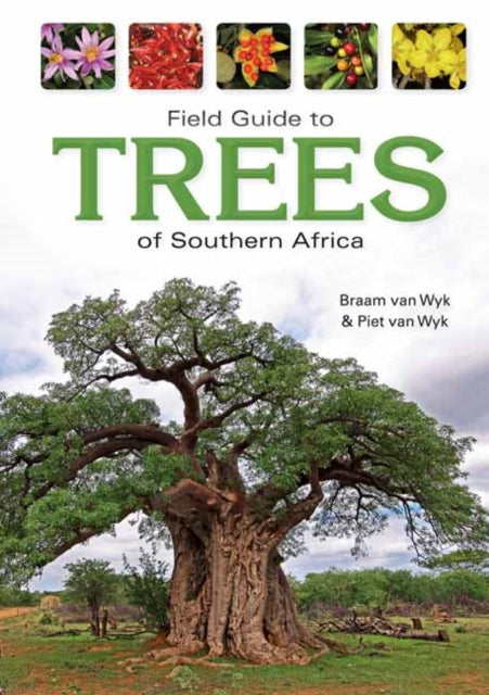 Book cover of: Field Guide to Trees of Southern Africa. By: Braam van Wyk