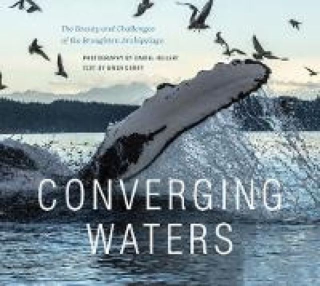 Book cover of: Converging Waters. By: Daniel Hillert