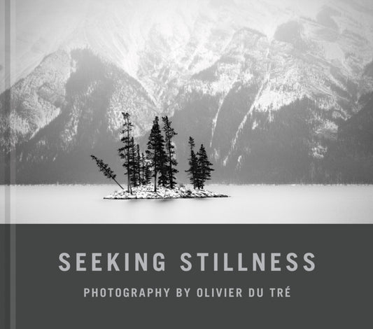 Book cover of: Seeking Stillness. By: Olivier Du Tré