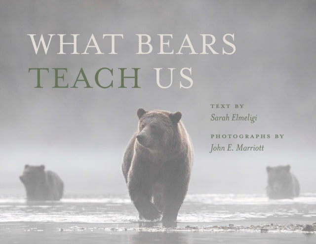 Book cover of: What Bears Teach Us. By: Sarah Elmeligi