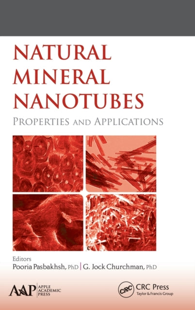 Book cover of: Natural Mineral Nanotubes. By: Pooria Pasbakhsh