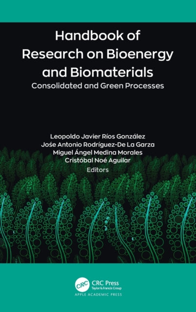 Book cover of: Handbook of Research on Bioenergy and Biomaterials. By: Leopoldo Javier Ríos González