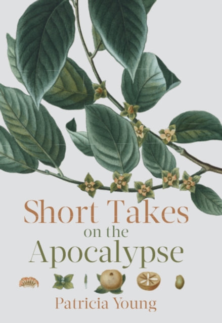 Book cover of: Short Takes on the Apocalypse. By: Patricia Young