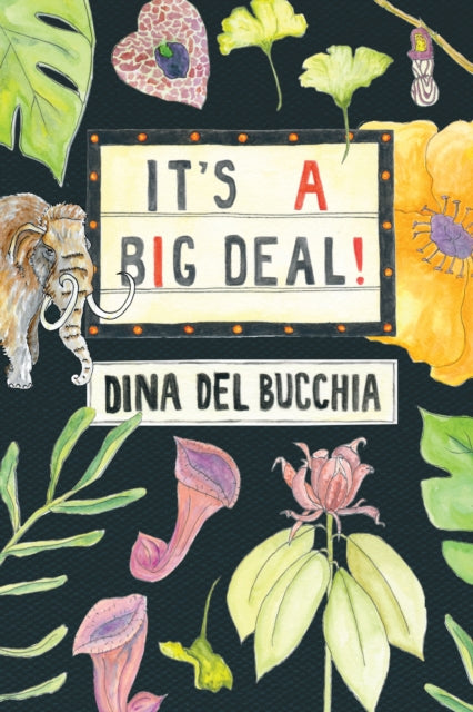 Book cover of: It's a Big Deal!. By: Dina Del Bucchia
