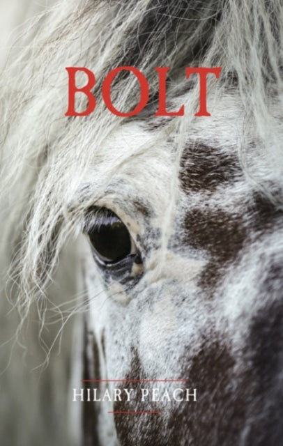 Book cover of: Bolt. By: Hilary Peach