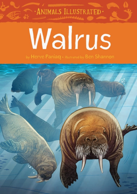 Book cover of: Animals Illustrated: Walrus. By: Herve Paniaq