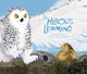 Book cover of: hibou et le lemming. By: Roselynn Akulukjuk