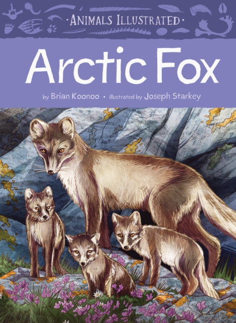 Book cover of: Animals Illustrated: Arctic Fox. By: Brian Koonoo