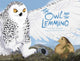 Book cover of: Owl and the Lemming. By: Roselynn Akulukjuk