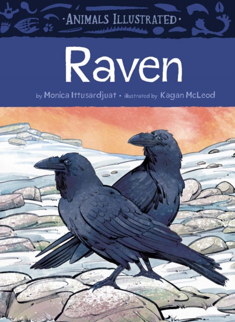 Book cover of: Animals Illustrated: Raven. By: Monica Ittusardjuat
