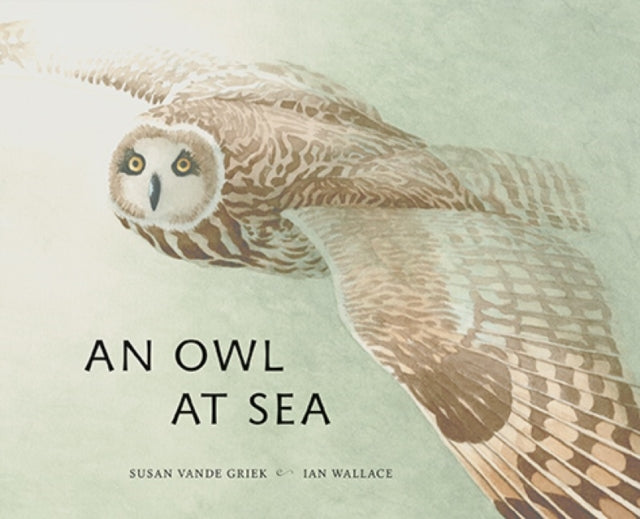 Book cover of: Owlat Sea